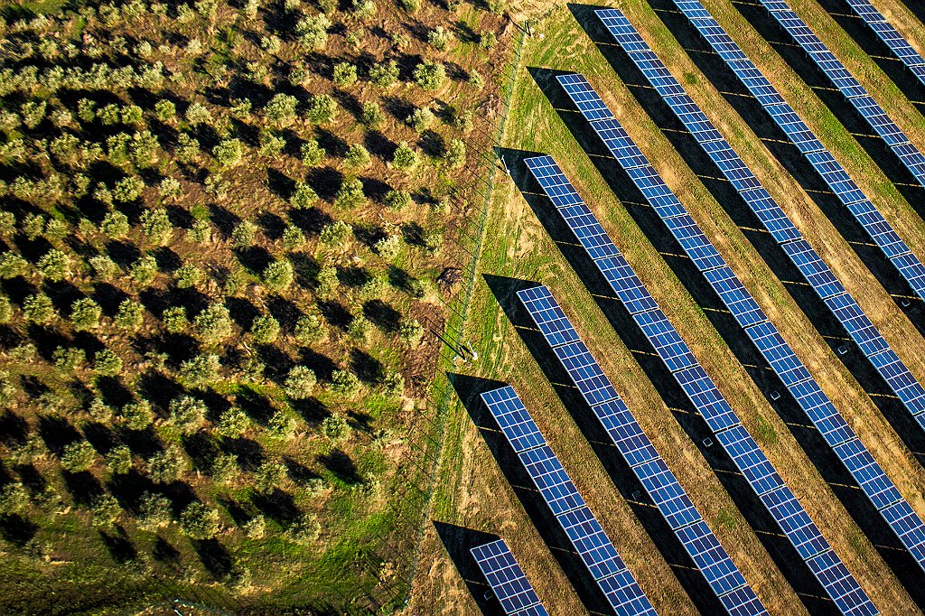 D'ERAMO UMBERTO-TEMA B- FRUTTA&FOTOVOLTAICOE.jpg